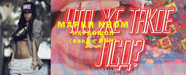 индика Балахна
