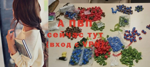 индика Балахна