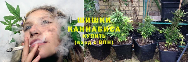 мдпв Ростов