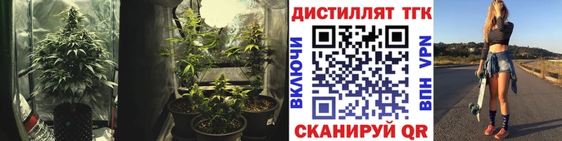 Дистиллят ТГК вейп  MEGA ONION  Бирюсинск 